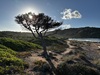 www.azzam.ch ::: Sardinia September 2025