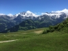 lenk2016-16