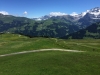 lenk2016-17