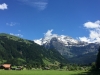 lenk2016-19