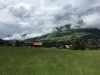 lenk2016-21