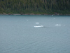 college_fjord-028