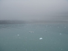 glacier-bay-008