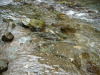 juneau-008