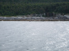whalewatching-010