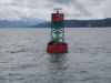 whalewatching-013