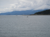 whalewatching-020