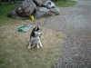 yukon-021