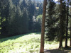 baiersbronn-113