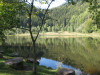 baiersbronn-116