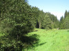 baiersbronn-121