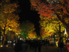 berlin-2010-263