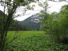 berwang-2012-23