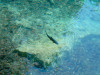 blausee-07