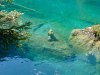 blausee-14