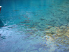blausee207