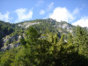 blausee209