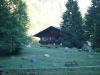 blausee220