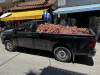 crete-2025_41