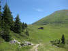elsigenalp-30