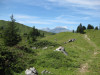 elsigenalp-32