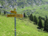 elsigenalp-33