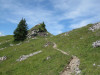 elsigenalp-44