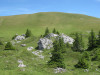 elsigenalp-46