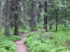 feldberg-174