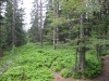 feldberg-189