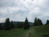 feldberg-200