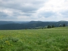 feldberg-211