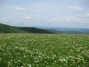 feldberg-212