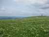 feldberg-213
