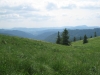 feldberg-216