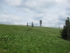 feldberg-217