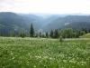 feldberg-218