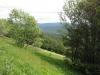 feldberg-221