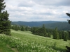 feldberg-222