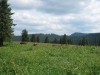 feldberg-224