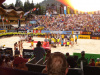 gstaad2006-14