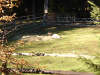 009hinterzarten