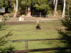 010hinterzarten