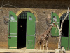 london_2025-94