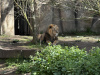 london_2025-96