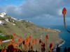 madeira008