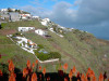 madeira011