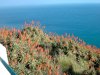 madeira015