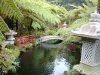 madeira024