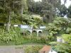madeira029